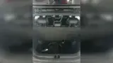 BYD Dolphin Mini - Miniatura 14