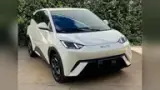 BYD Dolphin Mini - Miniatura 5