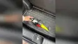 BYD Dolphin Mini - Miniatura 13
