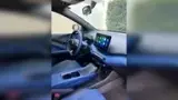 BYD Dolphin Mini - Miniatura 15