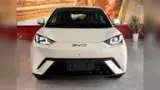 BYD Dolphin Mini - Miniatura 1