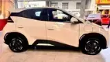BYD Dolphin Mini - Miniatura 16