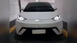 BYD Dolphin Mini - Miniatura 5