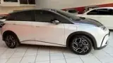 BYD Dolphin Plus - Miniatura 8