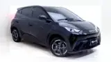 BYD Dolphin Mini - Miniatura 1