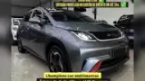 BYD Dolphin - Miniatura 1
