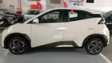 BYD Dolphin Mini - Miniatura 4