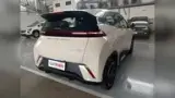 BYD Dolphin Mini - Miniatura 7