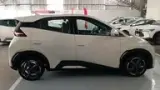 BYD Dolphin Mini - Miniatura 8