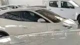BYD Dolphin Mini - Miniatura 9
