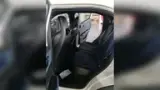 BYD Dolphin Mini - Miniatura 11