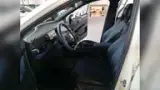 BYD Dolphin Mini - Miniatura 12