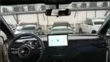 BYD Dolphin Mini - Miniatura 14