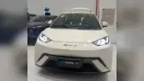 BYD Dolphin Mini - Miniatura 1
