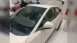 BYD Dolphin Mini - Miniatura 4