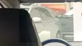 BYD Dolphin Mini - Miniatura 10