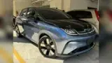 BYD Dolphin Plus - Miniatura 3