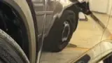 BYD Dolphin Plus - Miniatura 5