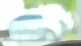 BYD Dolphin Plus - Miniatura 12