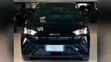 BYD Dolphin Mini - Miniatura 3