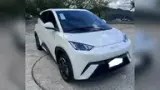 BYD Dolphin Mini - Miniatura 1