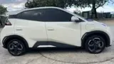 BYD Dolphin Mini - Miniatura 2