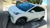 BYD Dolphin Mini - Miniatura 1