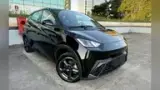 BYD Dolphin Mini - Miniatura 3