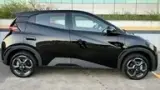 BYD Dolphin Mini - Miniatura 4