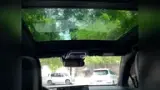 BYD Tang - Miniatura 8