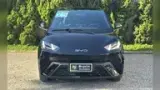 BYD Dolphin Mini - Miniatura 1