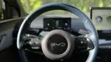 BYD Dolphin Mini - Miniatura 15