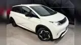 BYD Dolphin - Miniatura 1