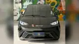 BYD Dolphin Mini - Miniatura 2
