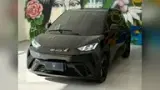 BYD Dolphin Mini - Miniatura 3