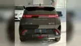 BYD Dolphin Mini - Miniatura 5