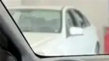 BYD Dolphin Mini - Miniatura 7