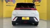 BYD Dolphin Mini - Miniatura 11
