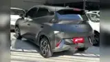 BYD Dolphin Mini - Miniatura 2
