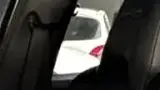 BYD Dolphin Mini - Miniatura 4