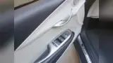 BYD Dolphin - Miniatura 9
