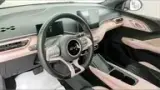 BYD Dolphin Mini - Miniatura 7