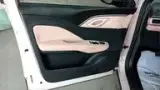 BYD Dolphin Mini - Miniatura 10