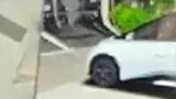 BYD Dolphin - Miniatura 9