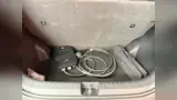 BYD Dolphin Mini - Miniatura 13
