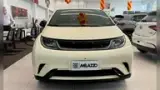BYD Dolphin - Miniatura 2