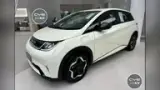 BYD Dolphin Mini - Miniatura 4