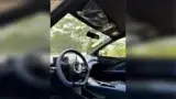BYD Dolphin Mini - Miniatura 3
