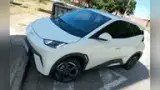 BYD Dolphin Mini - Miniatura 1