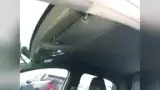 BYD Dolphin Mini - Miniatura 7
